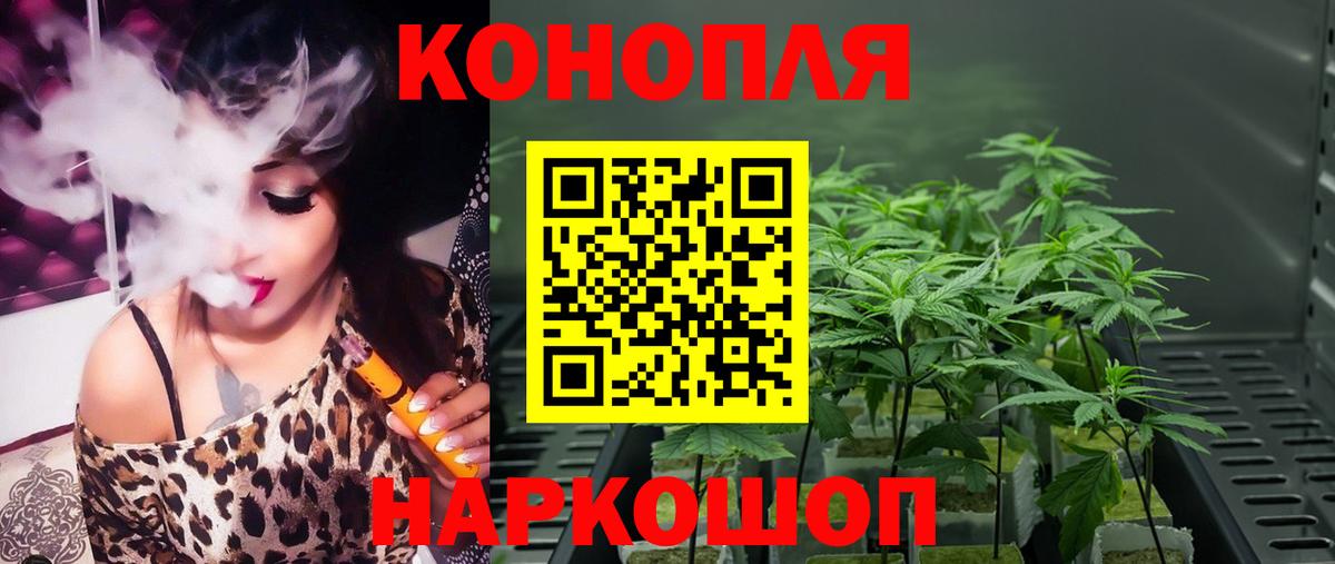 Конопля план Ижевск